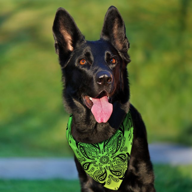 Ombré Green and Yellow Paisley Stylish Dog  Pet Bandana Collar (Dog)