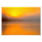 Ombre Sunrise Shining on Two Ducks Nature Photo -