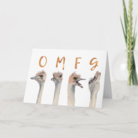 OMFG It's Your Birthday | Funny Ostrich Birds