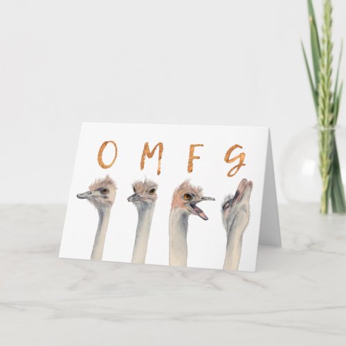 OMFG Its Your Birthday  Funny Ostrich Birds Card