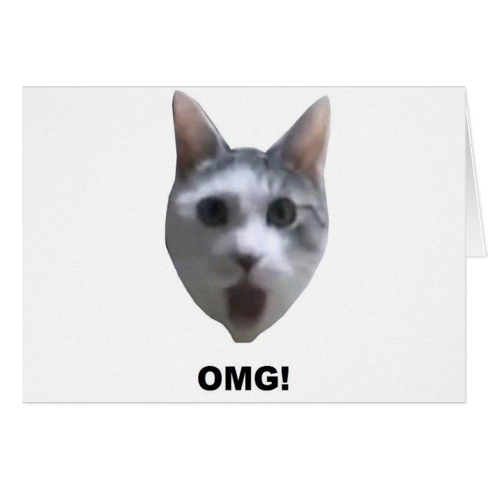 OMG CAT (what has he seen?) Cards