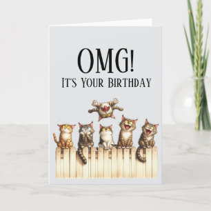 OMG Cute Cat Theme Birthday Card