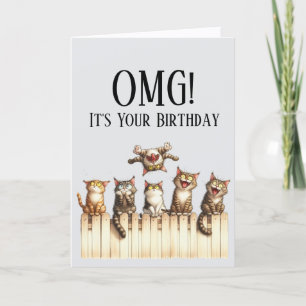 OMG Cute Cat Theme Birthday Card