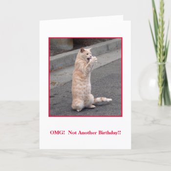 Omg:  Not Another Birthday! Card by TheyHadMeAtMeow at Zazzle