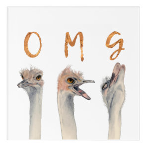 OMG Ostriches Acrylic Print