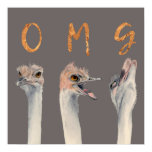 OMG Ostriches Poster OMG Ostriches Poster