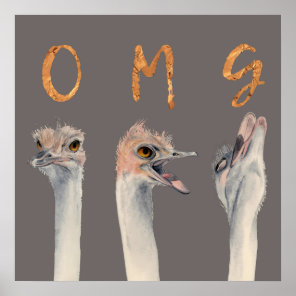 OMG Ostriches Poster