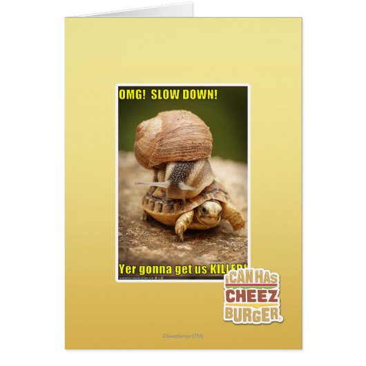 OMG! Slow down! Cards (Front)