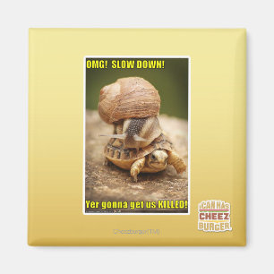 OMG! Slow down! Magnet