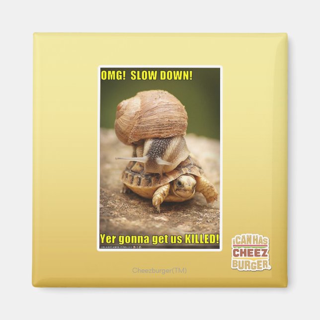 OMG! Slow down! Magnet (Front)