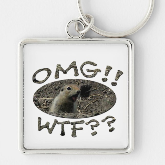 OMG WTF Gopher Keychain (Front)