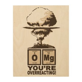 OMG! You are overreacting! Wood Wall Art