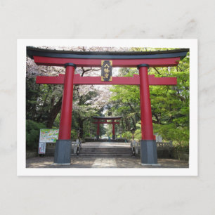 Omiya Hachimangu Shrine: Tokyo Postcard