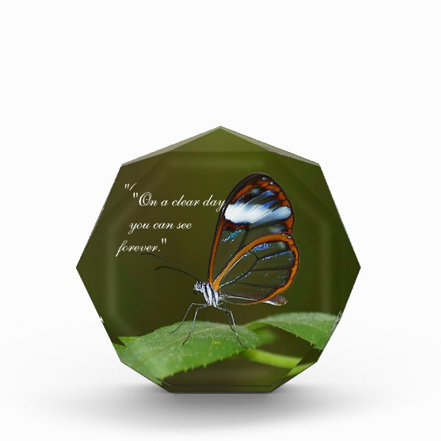 "On a Clear Day" Glasswing Butterfly Design Acrylic Award (Front)