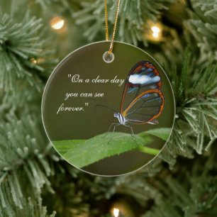 "On a Clear Day" Glasswing Butterfly Design Ceramic Ornament
