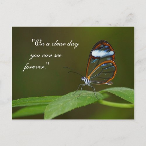 On a Clear Day Glasswing Butterfly Design Postcard