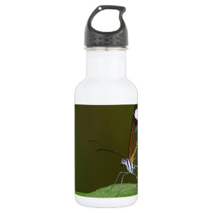 "On a Clear Day" Glasswing Butterfly Design Stainless Steel Water Bottle
