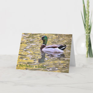 On a Golden Pond Birthday Wishes Card