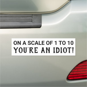 On A Scale Of 1 to 10 You're an Idiot Car Magnet