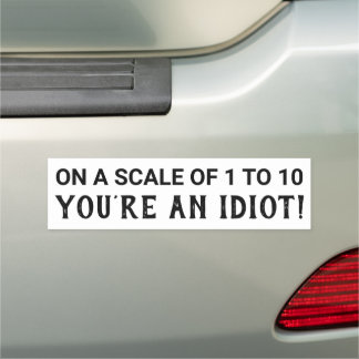 On A Scale Of 1 to 10 You're an Idiot Car Magnet