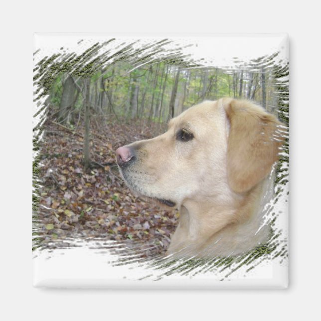 On "Alert" Magnet (Front)