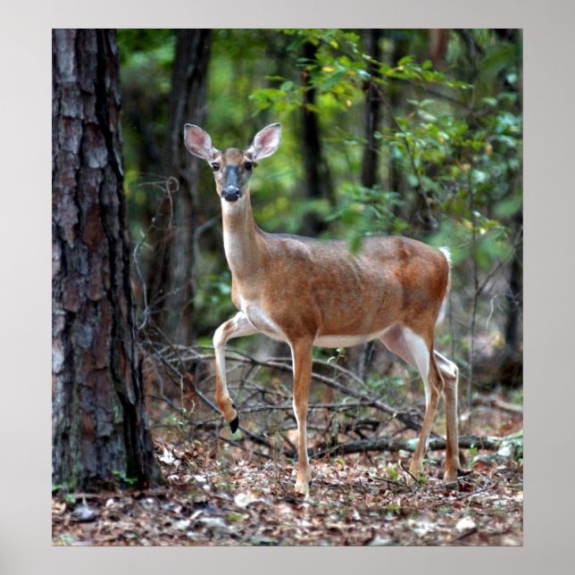 On Alert Poster (Front)