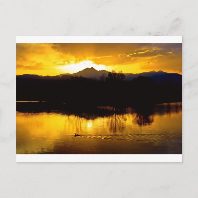 On Golden Ponds Postcard (Front)