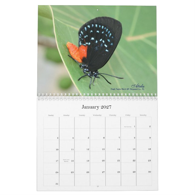 On Gossamer Wings 2011 Butterfly Calendar (Jan 2027)