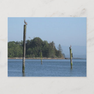 On Guard  Postcard