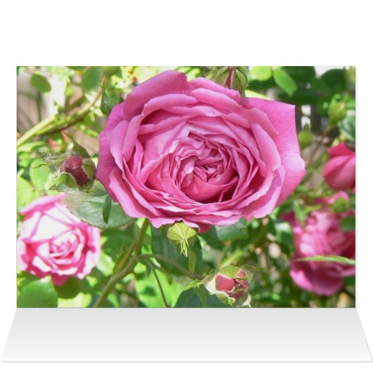 On Life's Highway... (Inside Horizontal (Top))