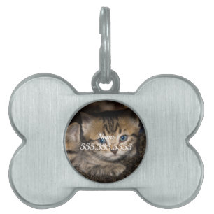On Momma's Back Pet ID Tag