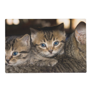 On Momma's Back Placemat