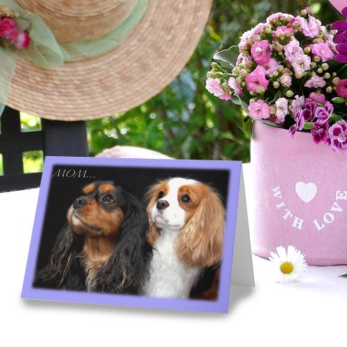 On Mothers Day Two Cavalier King Charles Spaniel Card