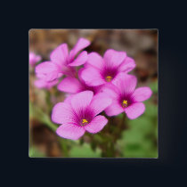 On My Doorstep Button