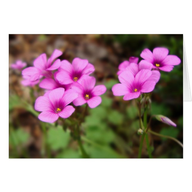 On My Doorstep Card (Front Horizontal)