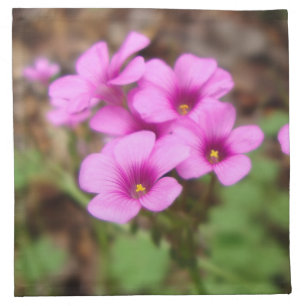 On My Doorstep Napkins