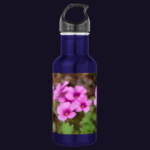 On My Doorstep Water Bottle
