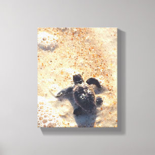On my way... canvas print