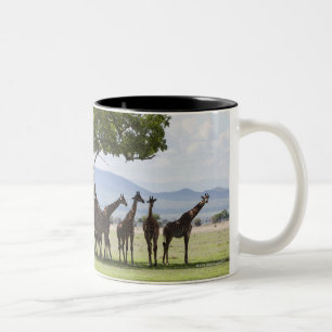 On safari in Mikumi National Park in Tanzania, Two-Tone Coffee Mug