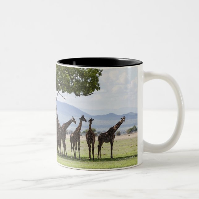 On safari in Mikumi National Park in Tanzania, Two-Tone Coffee Mug (Right)
