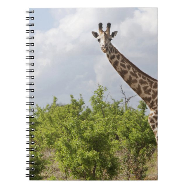 On safari in Tanzania, Africa. 2 Notebook (Front)