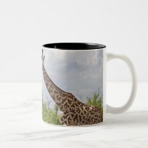 On safari in Tanzania, Africa. 2 Two-Tone Coffee Mug