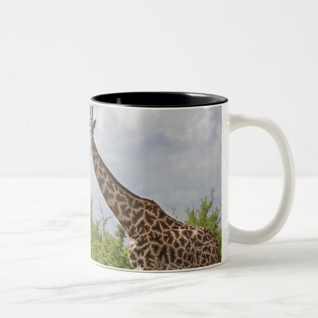 On safari in Tanzania, Africa. 2 Two-Tone Coffee Mug (Right)