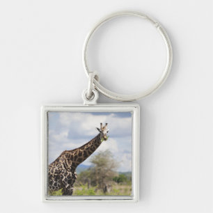 On safari in Tanzania, Africa. Keychain