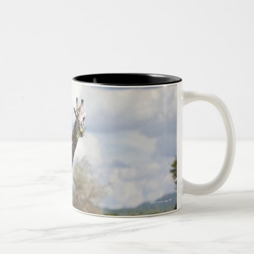 On safari in Tanzania Africa Two_Tone Coffee Mug