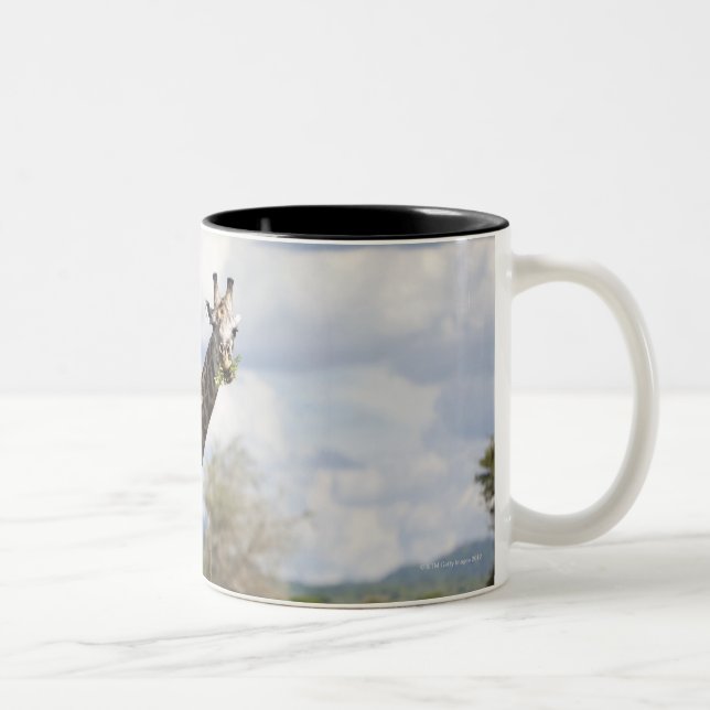 On safari in Tanzania, Africa. Two-Tone Coffee Mug (Right)