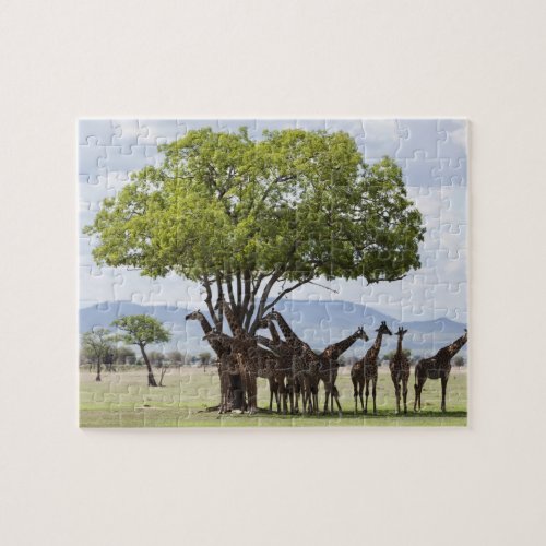 On Safari  Mikumi National Park Tanzania Jigsaw Puzzle