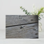 On the Boardwalk (Standing Front)