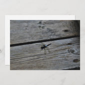 On the Boardwalk (Front/Back)