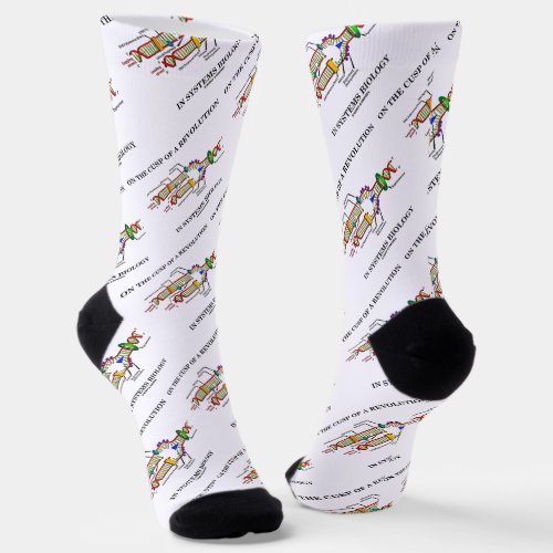On The Cusp Of A Revolution In Systems Biology DNA Socks